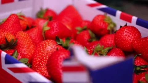 Box of British Strawberries fruit Stock Footage 285539182