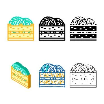 Box cabbage color edition icon vector イラスト素材