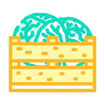 Box cabbage color icon vector illustration Ilustración de archivo