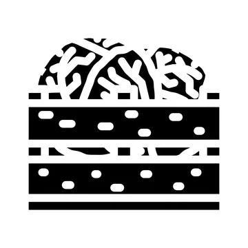 Box cabbage glyph icon vector illustration Stock Illustration