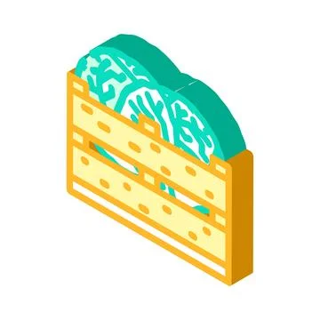 Box cabbage isometric icon vector illustration Illustrazione stock