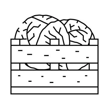 Box cabbage line icon vector illustration Ilustración de archivo