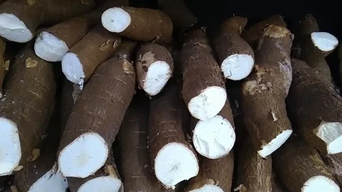 Box of cassava in supermarket, exposed to the customer Stock Footage
