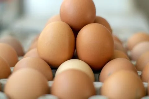 Box with chicken eggs Stock Photos