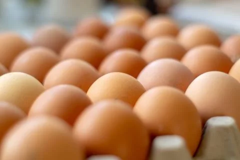 Box with chicken eggs Stock-Fotos