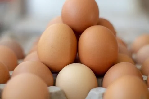 Box with chicken eggs Stock Photos