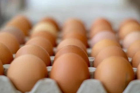 Box with chicken eggs Stock Photos