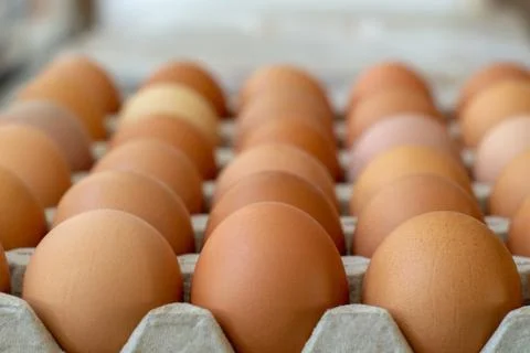 Box with chicken eggs Stock Photos
