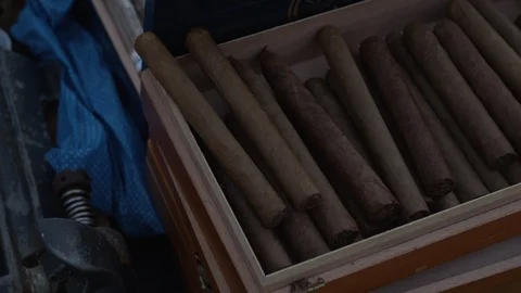 Box of cigars Stock Footage 113358419
