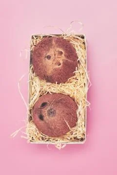 In a box coconut on a pink background isolate, copyspace, layout Stock Photos