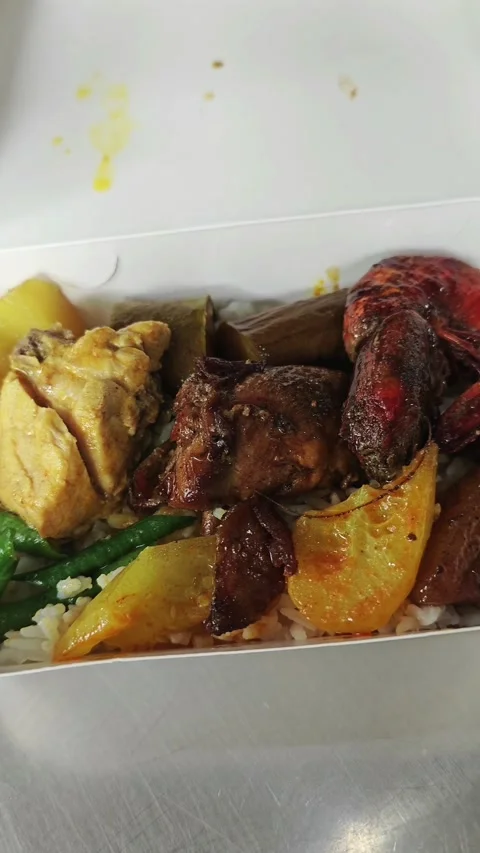A box of curry rice 库存影片 328266585