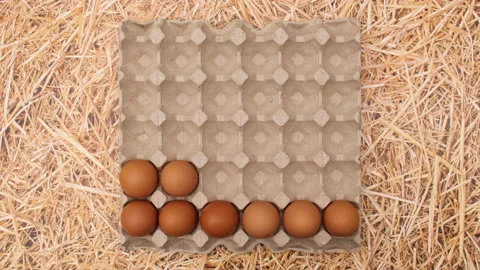 Box for eggs appear on straw theme and eggs appear in box. Stop motion Stock Footage 149324916