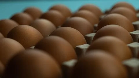 A box of eggs on a blue background Stock Photos