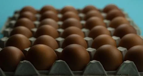 A box of eggs on a blue background Stock Photos