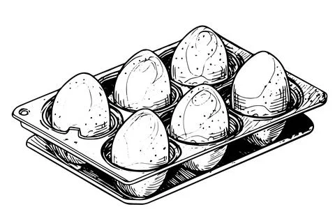 Box of eggs hand drawn ink sketch. Engraving style vector illustration. Stock Illustration