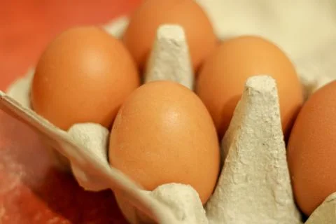 Box of eggs Stock Photos