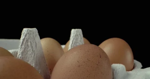 Box of eggs super macro closeup shoot Video stock 134640700