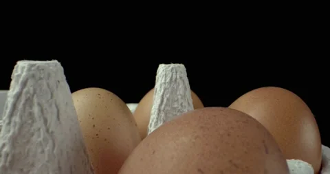 Box of eggs super macro closeup shoot Video stock 134640853