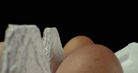 Box of eggs super macro closeup shoot Video stock 134705175