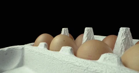 Box of eggs super macro closeup shoot Video stock 134707124