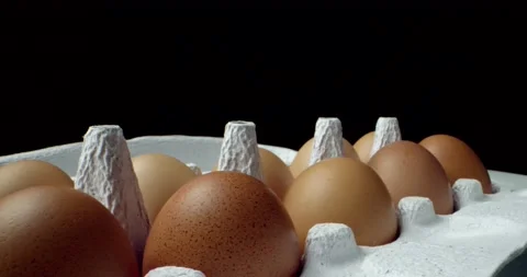 Box of eggs super macro closeup shoot Video stock 134823160