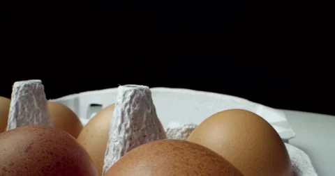 Box of eggs super macro closeup shoot Video stock 134823267