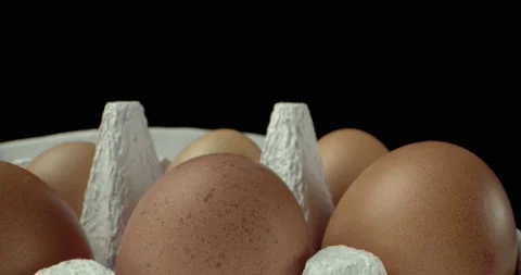 Box of eggs super macro closeup shoot Video stock 134823530