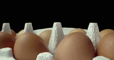 Box of eggs super macro closeup shoot Video stock 134823751