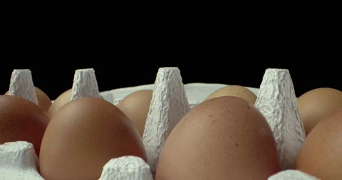 Box of eggs super macro closeup shoot Video stock 134823863