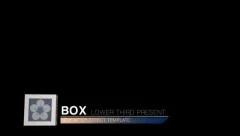 Box Elegant Lower Thirds ( 10 color ) + Bonus Stock After Effects