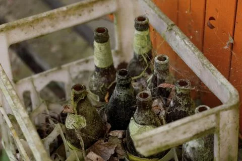 The box with empty bottles Stock Photos