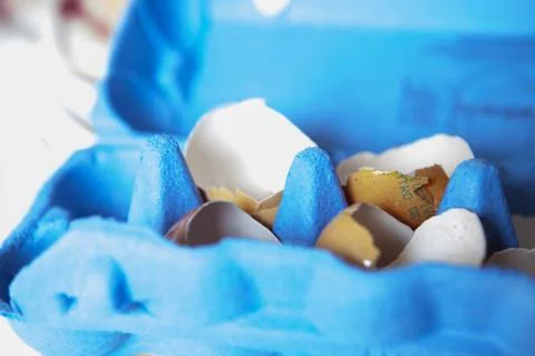 A box of empty broken eggs Stock Photos