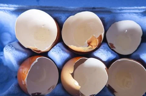 A box of empty broken eggs Stock Photos