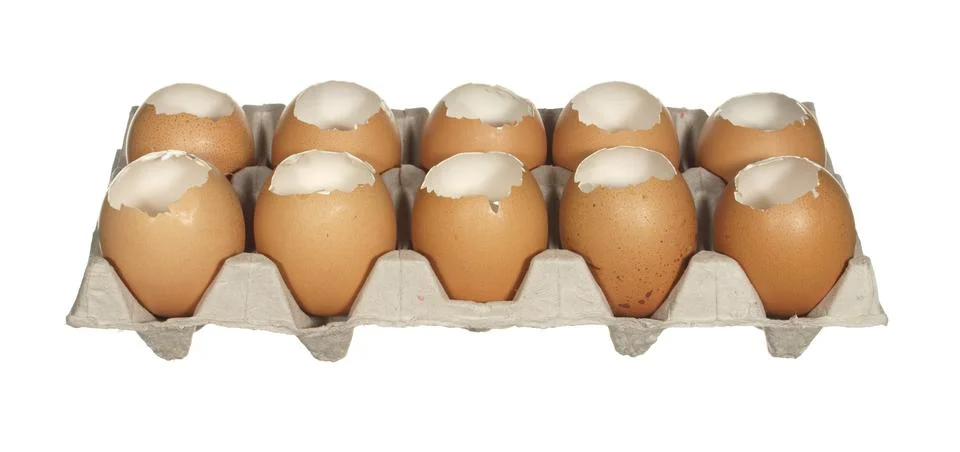 Box empty chicken eggs isolated on white background. Foto stock