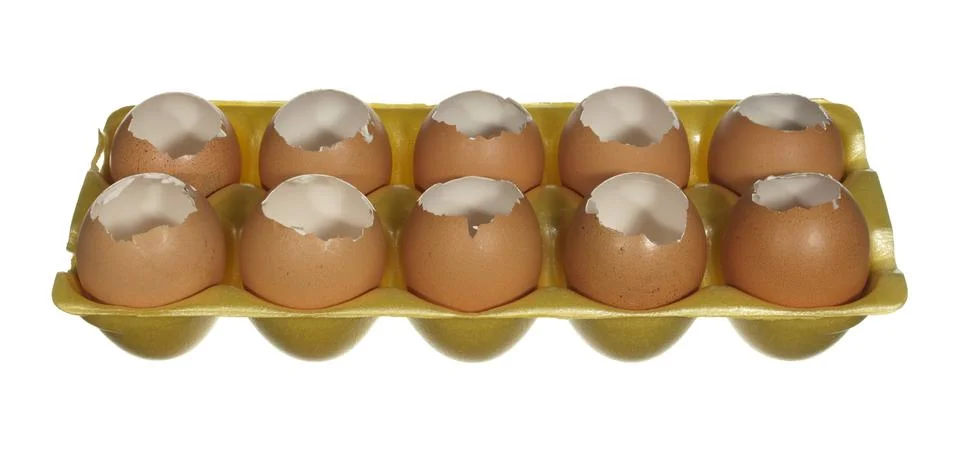 Box empty chicken eggs isolated on white background. Stock Photos