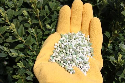 Box fertilizer in a hand in front of box Stock Photos