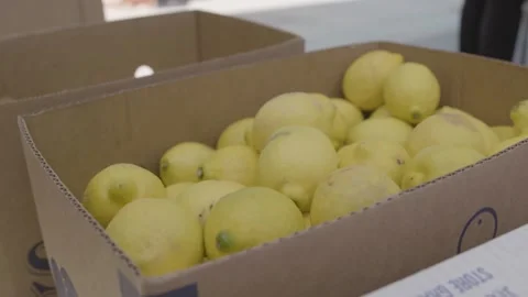 A box filled with fruit Stock Footage 155450634