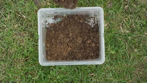 A box that is filled in a garden Stock Footage 194976634
