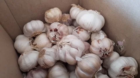 A box filled with garlic	 Stock Footage 286331511