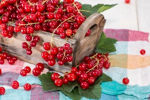 Box with fresh currants Stock Photos