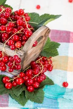 Box with fresh currants Stock Photos