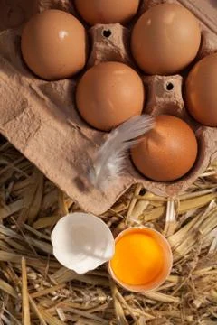 Box of fresh farm eggs with an egg yolk Stock Photos