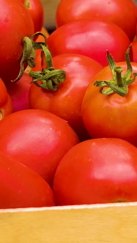 Box with fresh red tomatoes on the background of firewood. Video stock 335145283