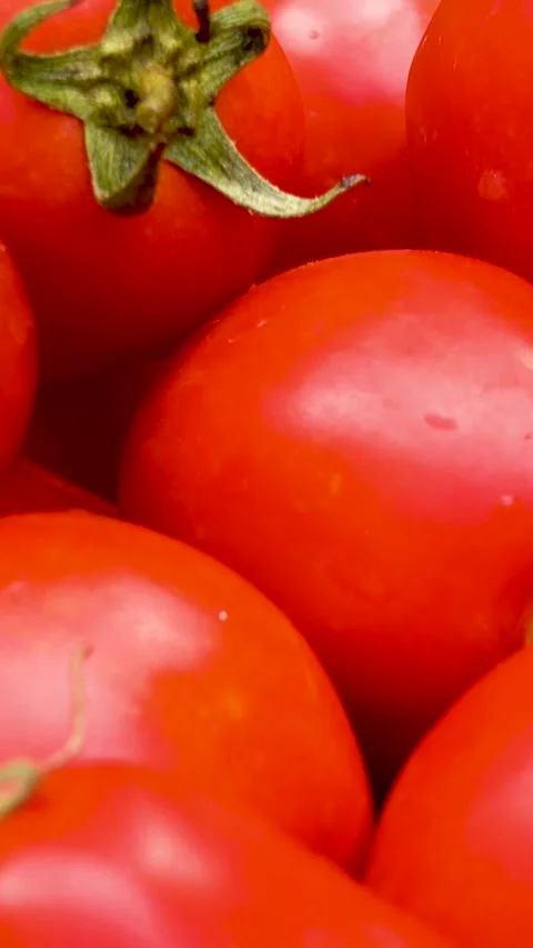 Box with fresh red tomatoes on the background of firewood. Video stock 335145290