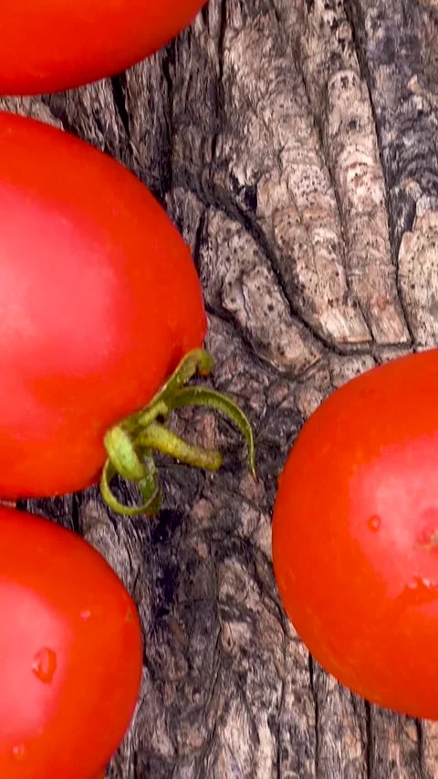 Box with fresh red tomatoes on the background of firewood. Video stock 335145292