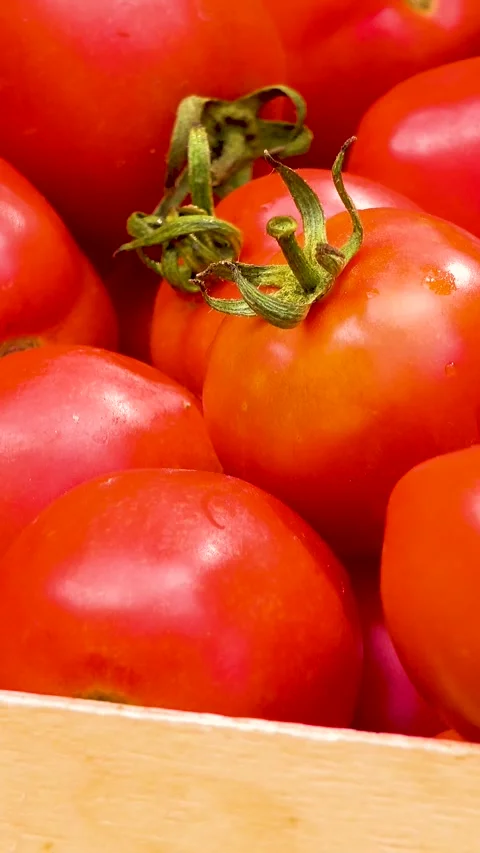 Box with fresh red tomatoes on the background of firewood. Video stock 335145293