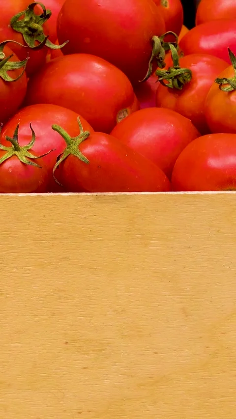 Box with fresh red tomatoes on the background of firewood. 库存影片 335145301