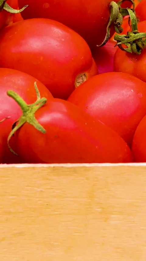 Box with fresh red tomatoes on the background of firewood. Video stock 335145302
