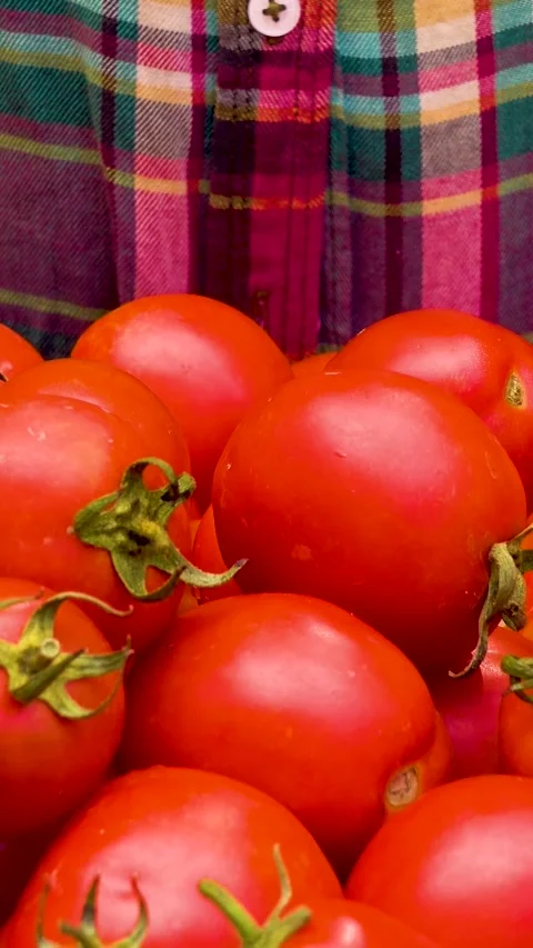 Box with fresh red tomatoes on the background of firewood. 库存影片 335145313