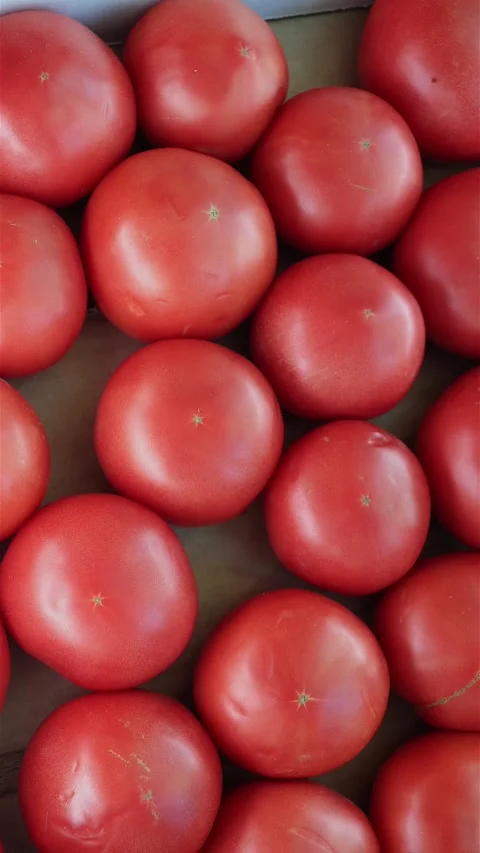 Box Of Fresh Red Tomatoes In Sunlight. Top View. Slider Shot. Vertical. Stock Footage 286109466